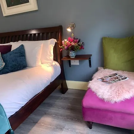 The Cosy Studio By The Shore Apartment Galway